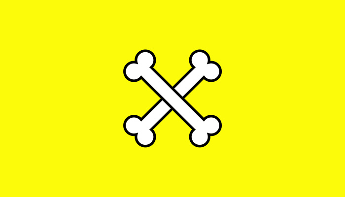 Snaphunt